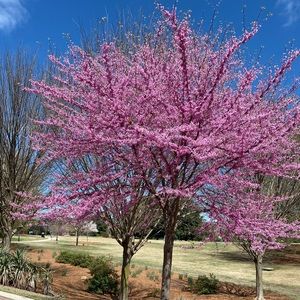 Meet your Posher, Lorena